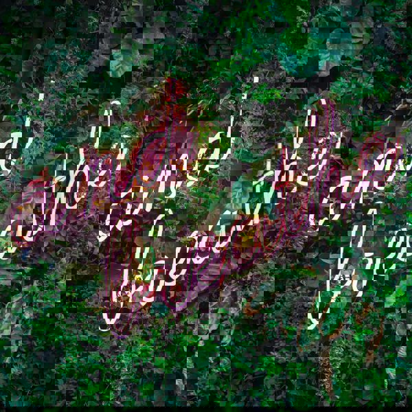 Max Van Den Oetelaar Buymym3rq3u Unsplash